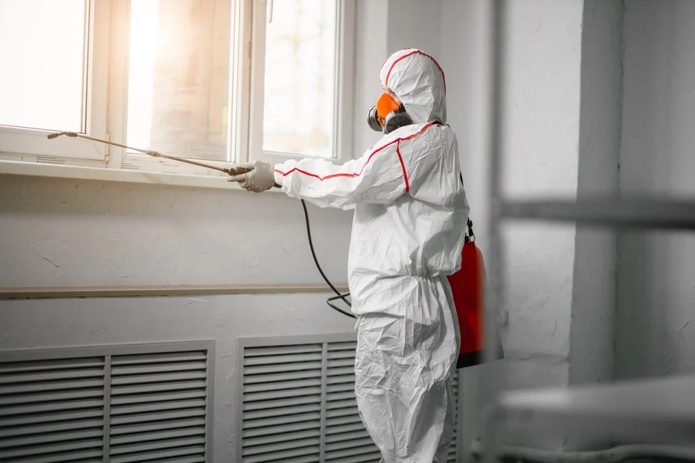 Professional mold remediation services in Madison, CT